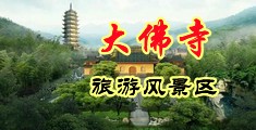 把骚屄给我电影中国浙江-新昌大佛寺旅游风景区